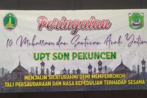 WhatsApp Image 2022-08-08 at 08.50.44